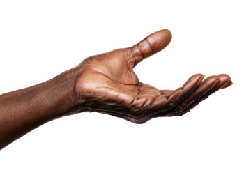 Presenting Hands & Arms 40xPNG