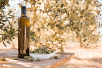Olive & Olive Oil #2, 30xJPG