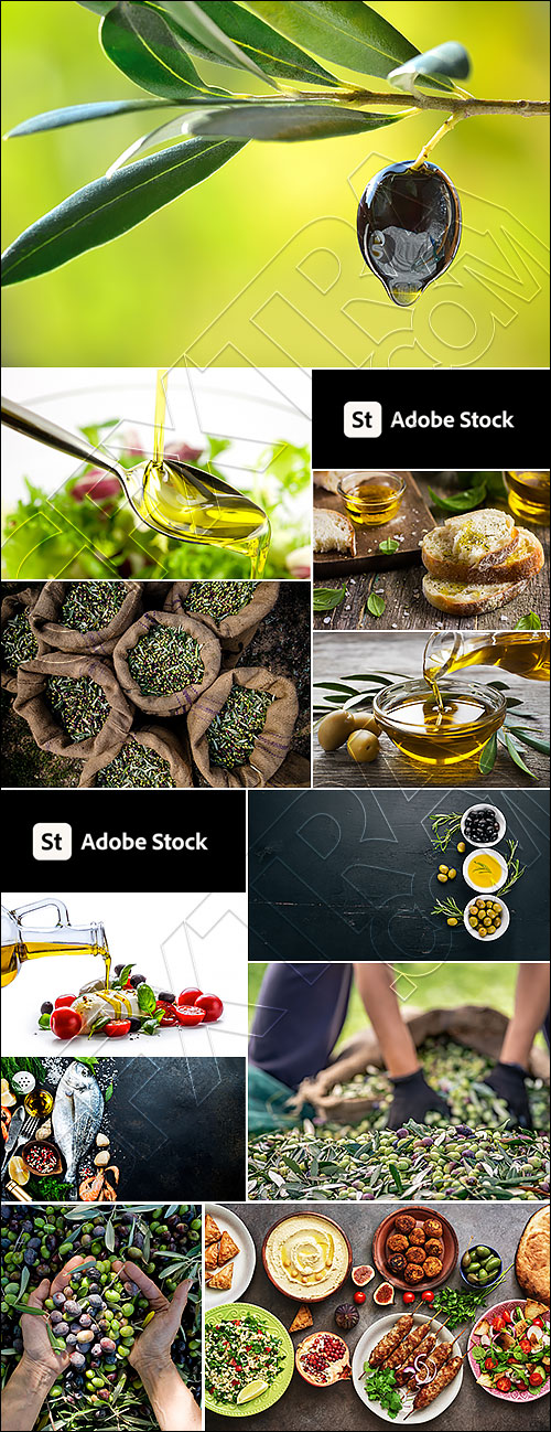 Olive & Olive Oil #3, 30xJPG