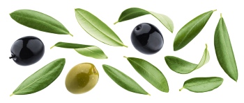 Olive & Olive Oil on White Background 30xJPG