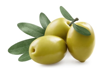 Olive & Olive Oil on White Background 30xJPG