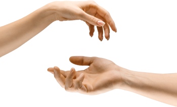 HANDS IN ACTION 28xPNG