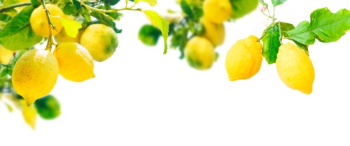 LEMON & LEMONADE 25xPNG