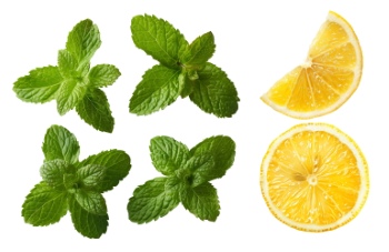 LEMON & LEMONADE 25xPNG