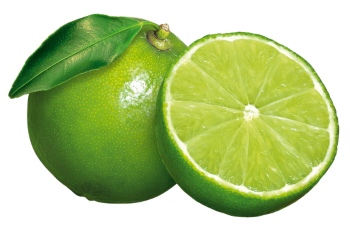 LIME & GIN TONIC 21xPNG LIME & GIN TONIC 21xPNG