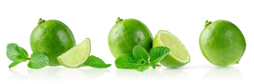 LIME & GIN TONIC 21xPNG LIME & GIN TONIC 21xPNG