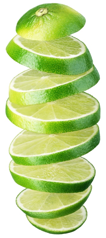 LIME & GIN TONIC 21xPNG LIME & GIN TONIC 21xPNG