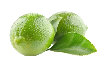 LIME & GIN TONIC 21xPNG LIME & GIN TONIC 21xPNG
