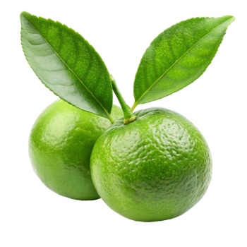 LIME & GIN TONIC 21xPNG LIME & GIN TONIC 21xPNG