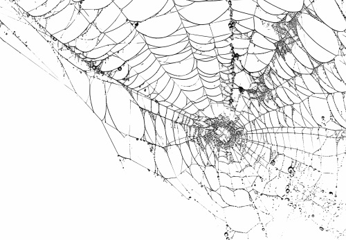 Halloween PNG Elements 24xPNG