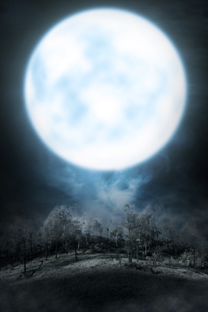 Halloween Backgrounds, Portrait 25xJPG Halloween Backgrounds, Portrait 25xJPG