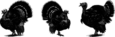 Thanksgiving Vector Design Elements 16xAI