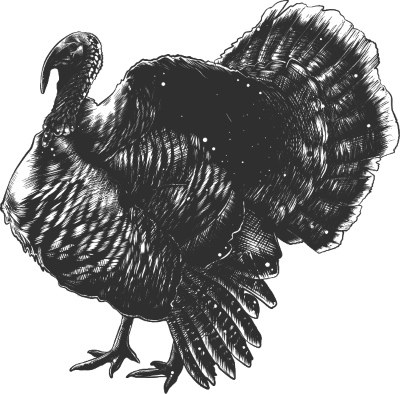 Thanksgiving Vector Design Elements 16xAI