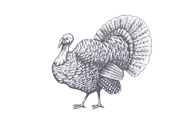 Thanksgiving Vector Design Elements 16xAI