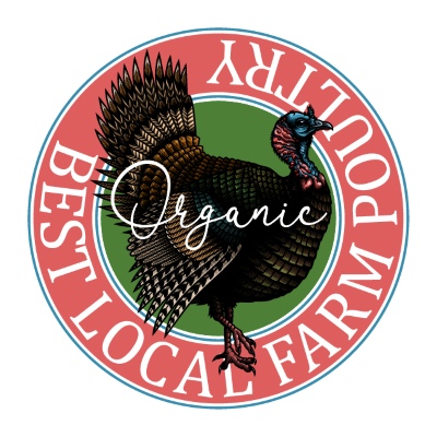 Thanksgiving Vector Design Elements 16xAI