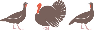 Thanksgiving Vector Design Elements 16xAI