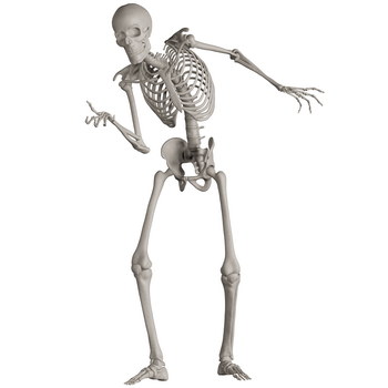 Skeleton Posing 3D Render Illustrations 20xPNG