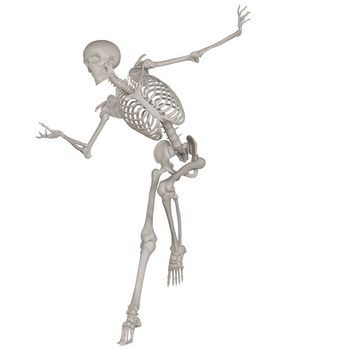 Skeleton Posing 3D Render Illustrations 20xPNG
