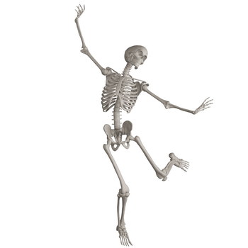 Skeleton Posing 3D Render Illustrations 20xPNG