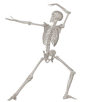 Skeleton Posing 3D Render Illustrations 20xPNG