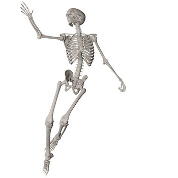 Skeleton Posing 3D Render Illustrations 20xPNG
