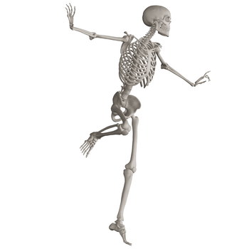 Skeleton Posing 3D Render Illustrations 20xPNG