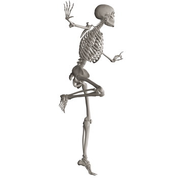 Skeleton Posing 3D Render Illustrations 20xPNG