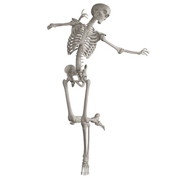 Skeleton Posing 3D Render Illustrations 20xPNG