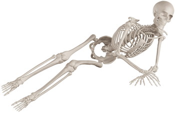 Skeleton Posing 3D Render Illustrations 20xPNG