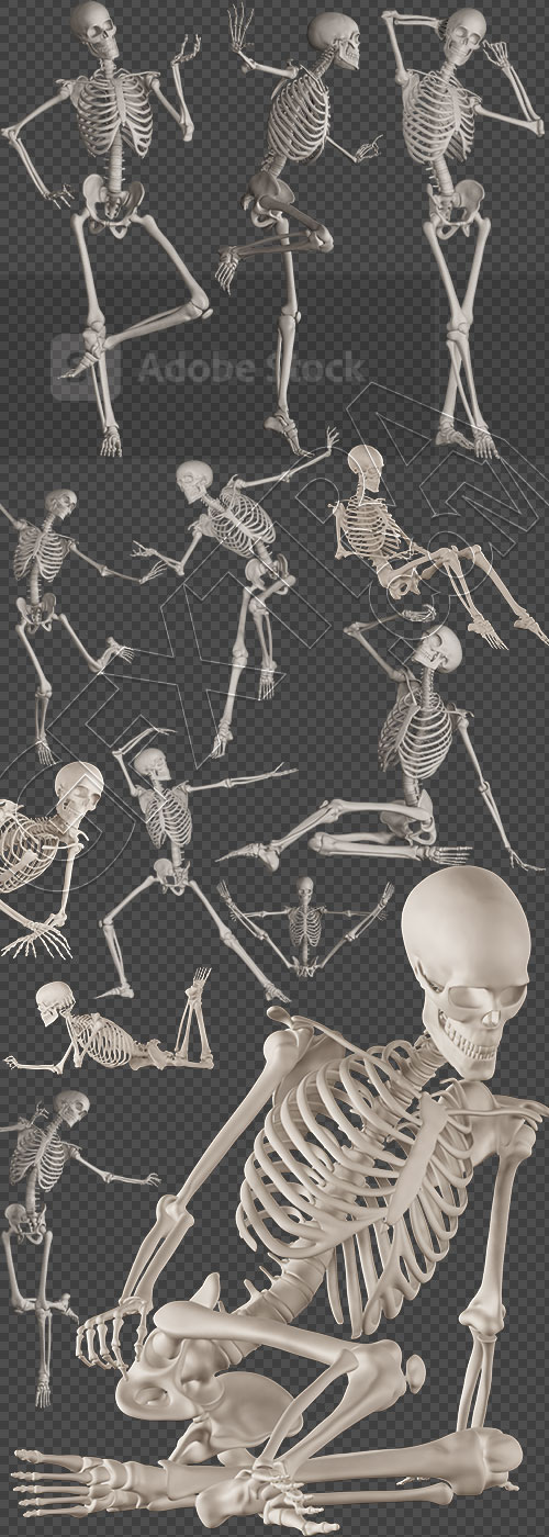 Skeleton Posing 3D Render Illustrations 20xPNG