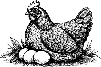 Chicken Egg AD Templates & Design Elements 26xAI