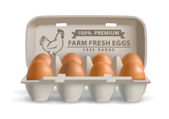 Chicken Egg AD Templates & Design Elements 26xAI