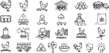 Chicken Egg AD Templates & Design Elements 26xAI