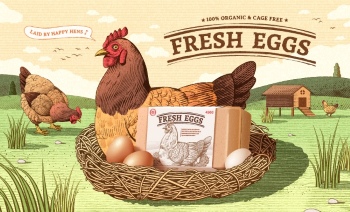 Chicken Egg AD Templates & Design Elements 26xAI