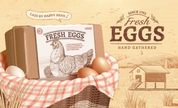 Chicken Egg AD Templates & Design Elements 26xAI