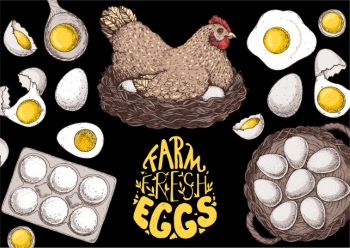Chicken Egg AD Templates & Design Elements 26xAI
