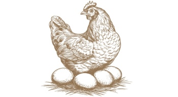 Chicken Egg AD Templates & Design Elements 26xAI