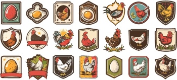 Chicken Egg AD Templates & Design Elements 26xAI