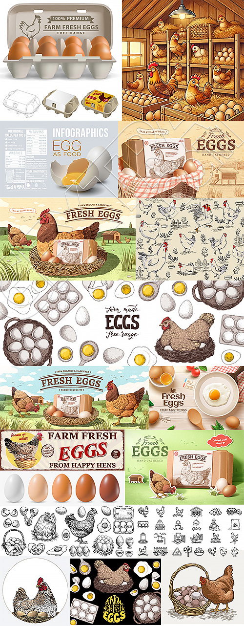 Chicken Egg AD Templates & Design Elements 26xAI