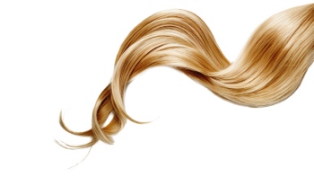 Hair Dresser Tools & Hairpieces 23xPNG