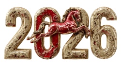 New Year 2026 Transparent Numbers 25xPNG