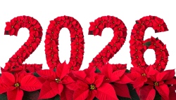 New Year 2026 Transparent Numbers 25xPNG