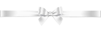 Ribbons & Bows 41xAI