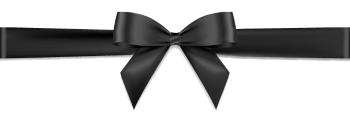 Ribbons & Bows 41xAI