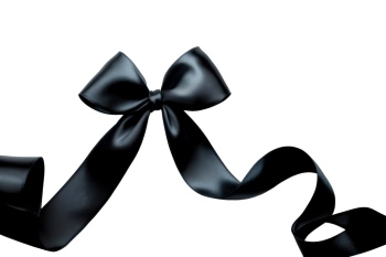 Ribbons & Bows Transparent 30xPNG