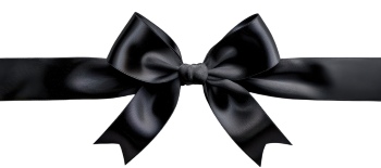 Ribbons & Bows Transparent 30xPNG
