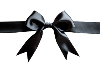 Ribbons & Bows Transparent 30xPNG