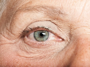 Eye Close Up #1, 33xJPEG