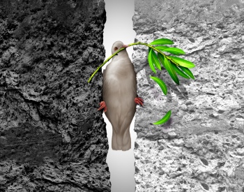 War & Peace Conceptual Images 36xJPEG