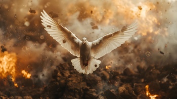 War & Peace Conceptual Images 36xJPEG